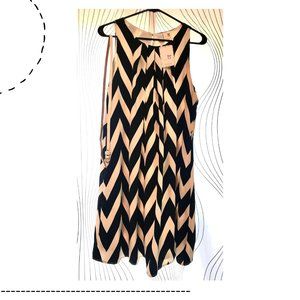 Modcloth by Pink Owl Chevron Shiftdress